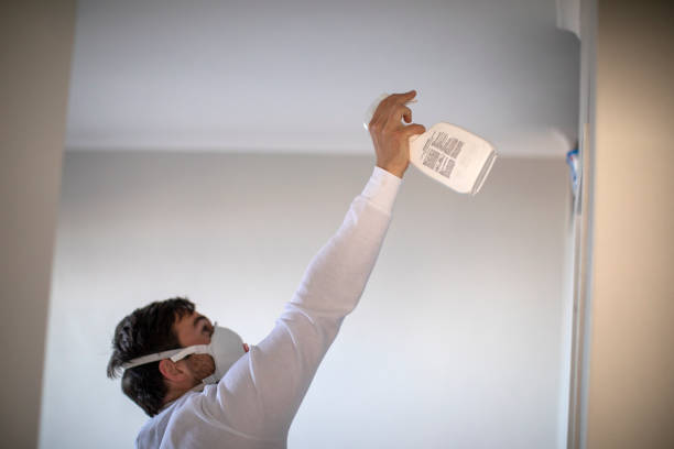 Best Mold Damage Repair  in Vandenberg Af, CA
