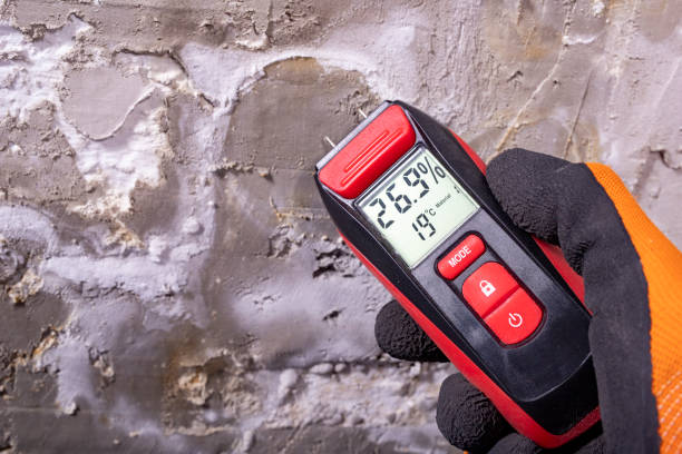 Best Commercial Mold Removal  in Vandenberg Af, CA