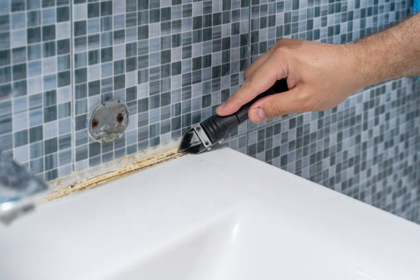 Best Toxic Mold Removal  in Vandenberg Af, CA
