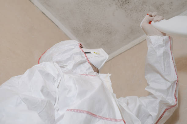 Best Water Damage Restoration  in Vandenberg Af, CA
