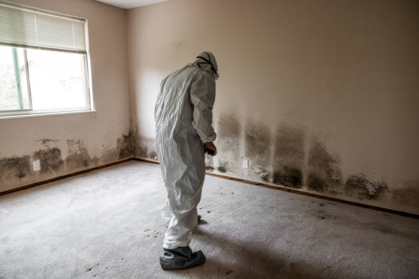 Best Mold Testing  in Vandenberg Af, CA