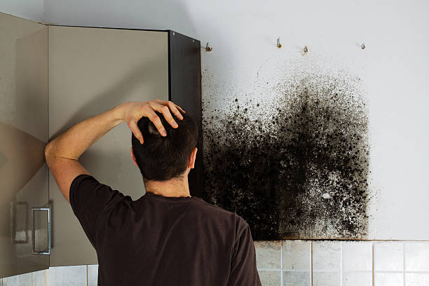 Best Mold Cleaning Services  in Vandenberg Af, CA