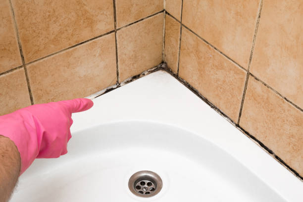 Best Mold Remediation  in Vandenberg Af, CA